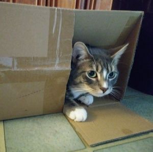 Meet your Posher, Kimberly